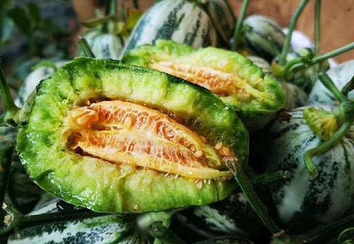 山东网红团队吃瓜,揭秘幕后美食风云  第2张